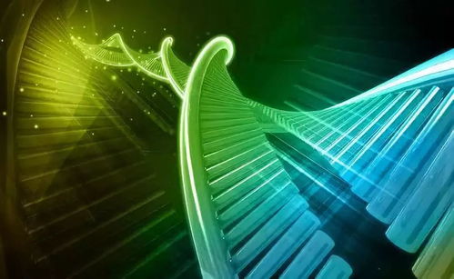 溫州生材所聯(lián)合上海交大、浙大成立研發(fā)中心，生物基材料技術(shù)助力阿爾茨海默癥治療
